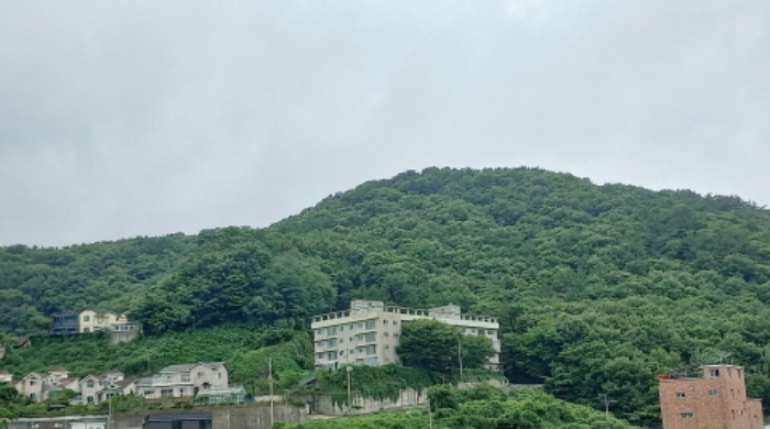 거제시 연초면 오비리 임야 경매 물건 사진