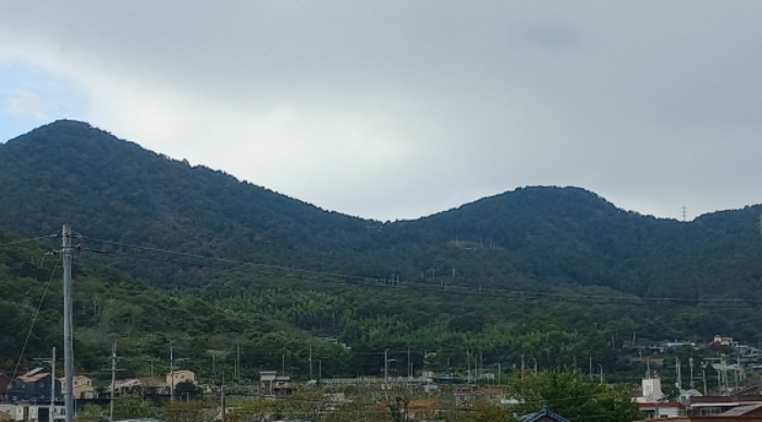 거제시 거제면 옥산리 임야 경매 물건 사진