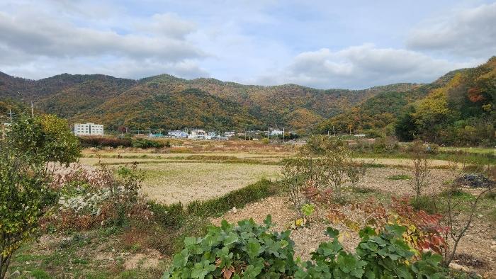 거제시 연초면 오비리 답 경매 물건 사진