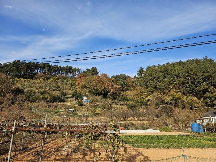 거제시 사등면 청곡리 전 경매 물건 사진