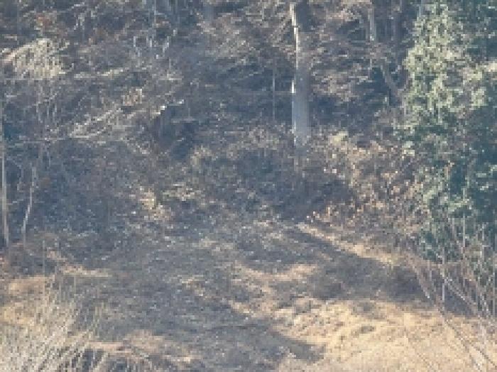통영시 도산면 오륜리 전 경매 물건 사진