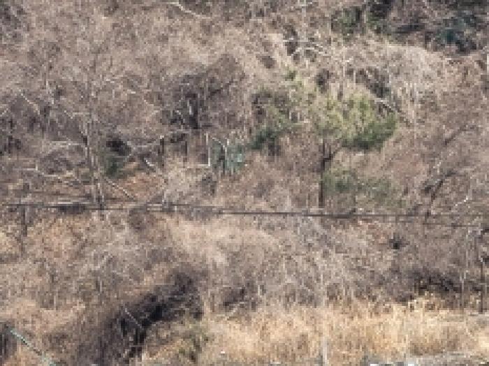 거제시 사등면 사곡리 전 경매 물건 사진