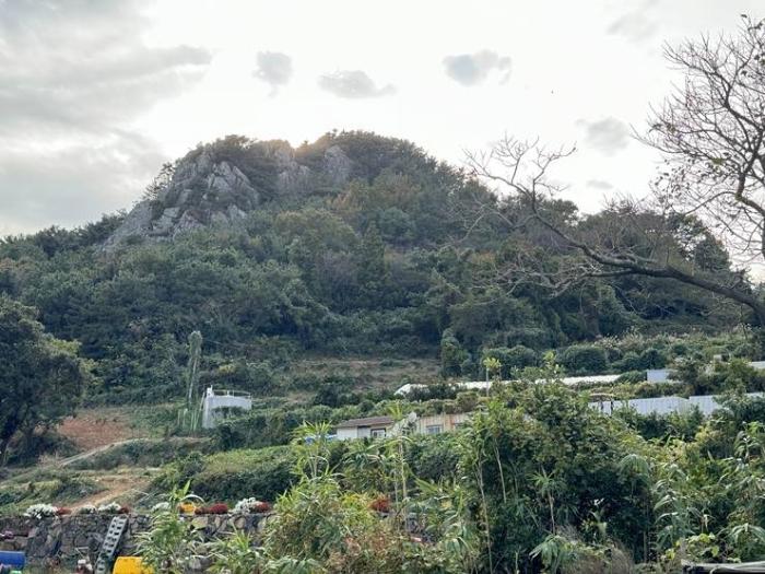 통영시 욕지면 동항리 임야 경매 물건 사진