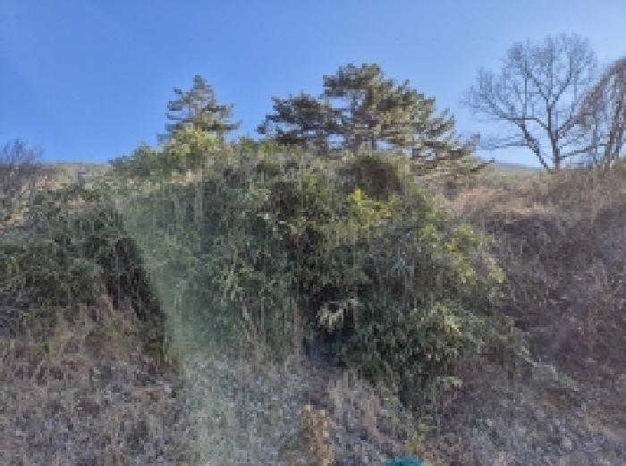 고성군 대가면 신전리 전 경매 물건 사진