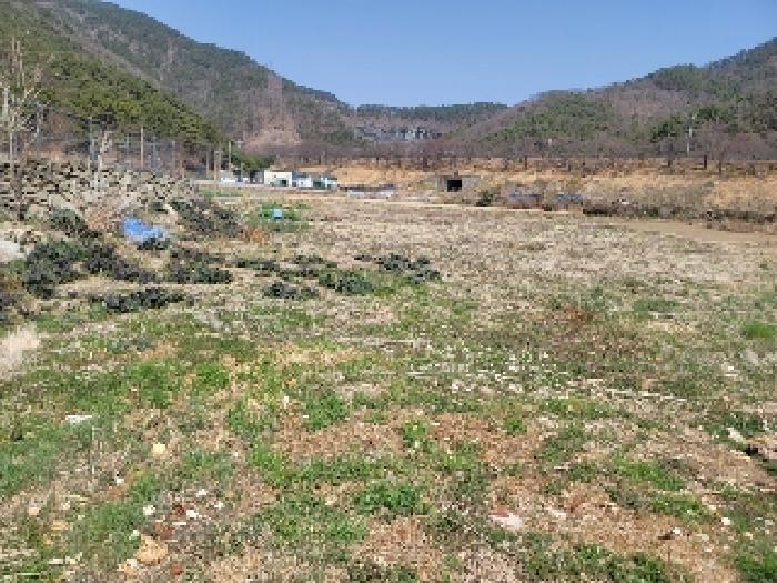 통영시 광도면 우동리 답 경매 물건 사진