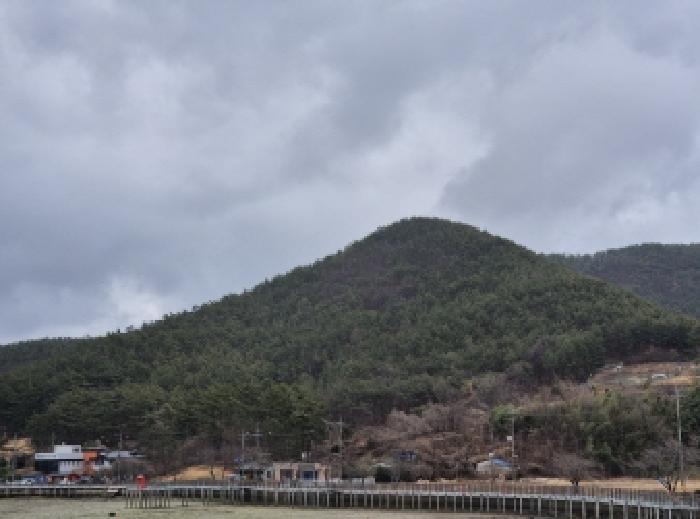 고성군 삼산면 미룡리 임야 경매 물건 사진