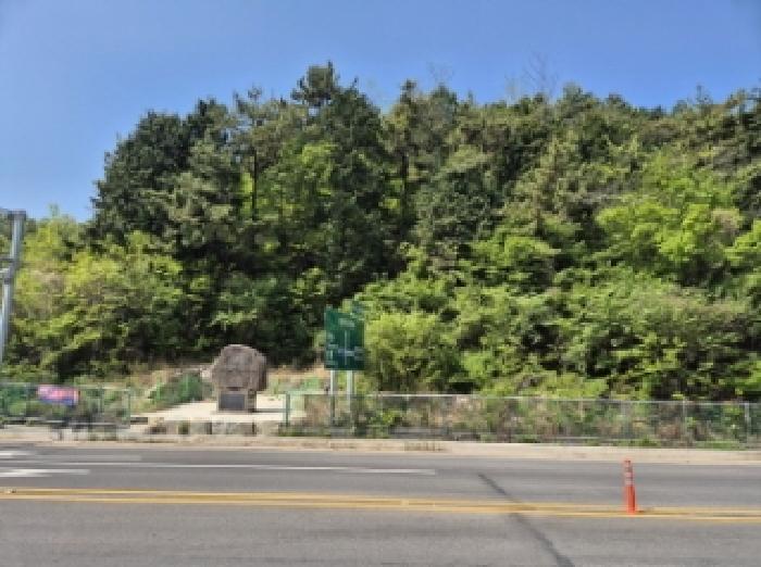 고성군 동해면 장좌리 임야 경매 물건 사진