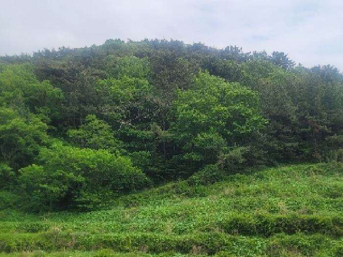 통영시 산양읍 풍화리 전 경매 물건 사진