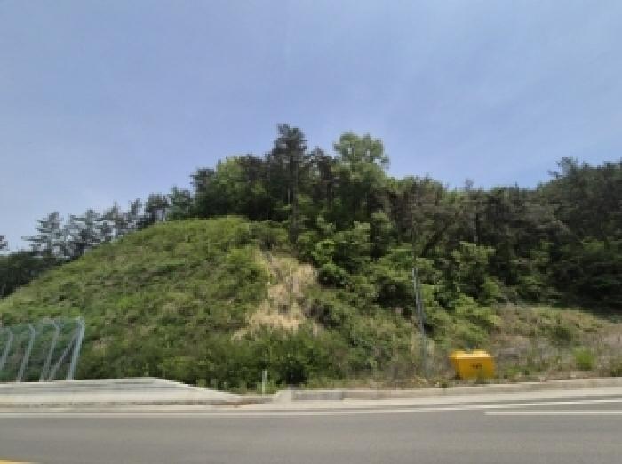 고성군 하이면 덕호리 임야 경매 물건 사진