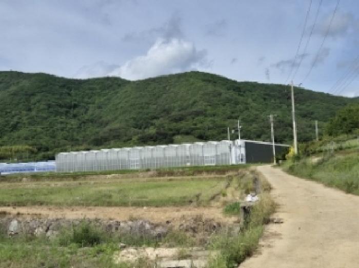 고성군 마암면 신리 동물및식물관련시설 경매 물건 사진