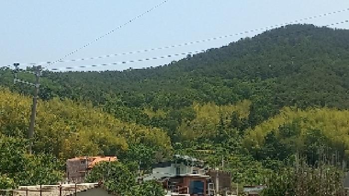 거제시 하청면 실전리 임야 경매 물건 사진
