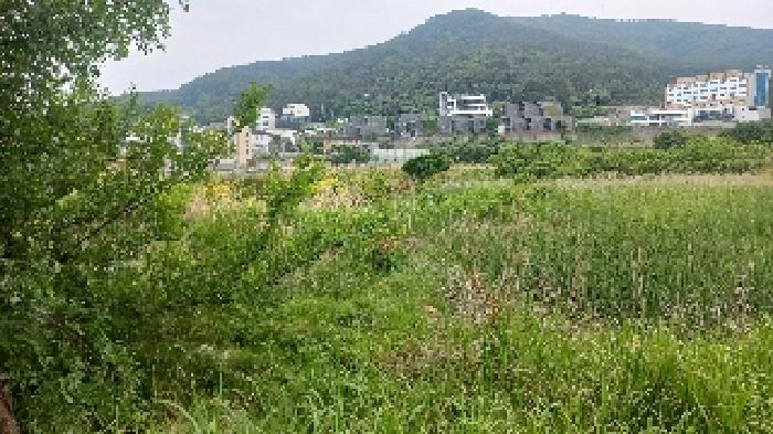 거제시 일운면 와현리 답 경매 물건 사진