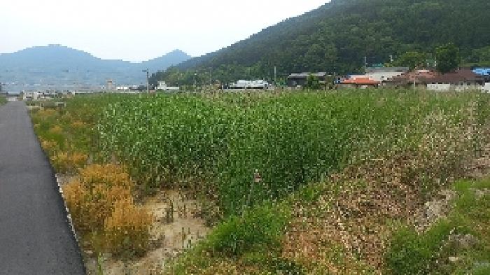 거제시 거제면 법동리 답 경매 물건 사진
