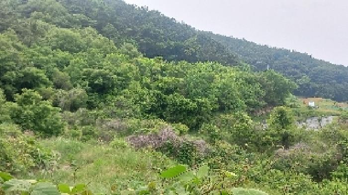 거제시 거제면 법동리 답 경매 물건 사진