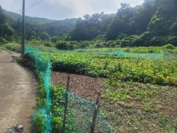 통영시 산양읍 풍화리 전 경매 물건 사진