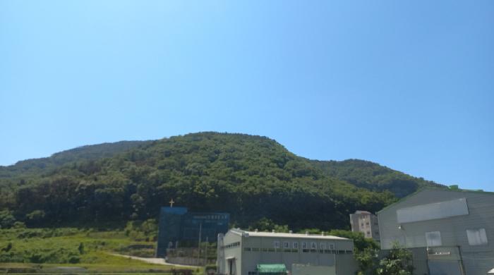 거제시 양정동 산80-1 임야 경매 물건 사진