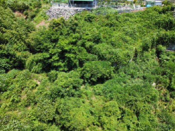 거제시 아주동 1505 답 경매 물건 사진