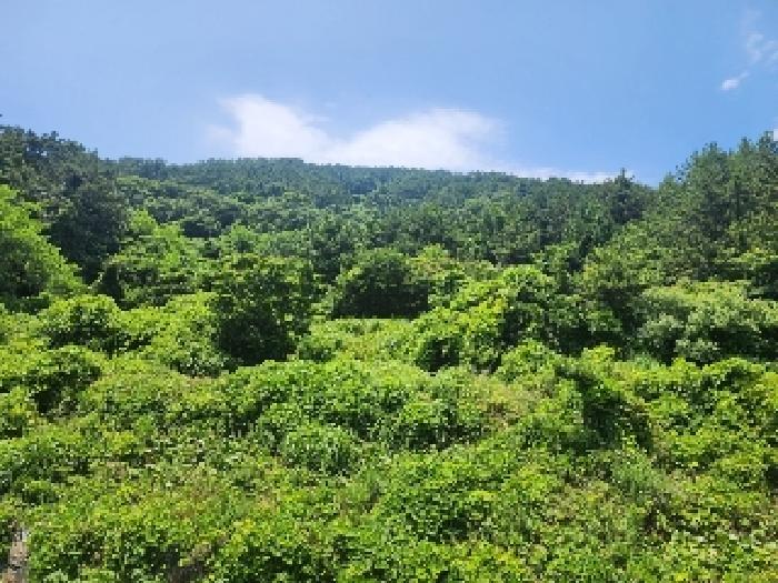 통영시 산양읍 추도리 답 경매 물건 사진