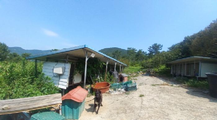 거제시 거제면 옥산리 임야 경매 물건 사진