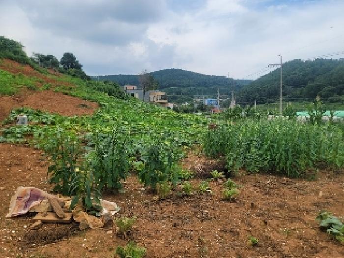 통영시 용남면 장문리 전답 경매 물건 사진