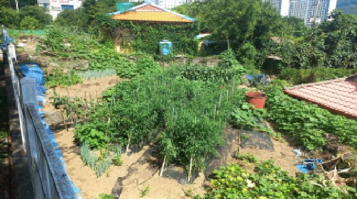 거제시 아주동 1268 대지 경매 물건 사진