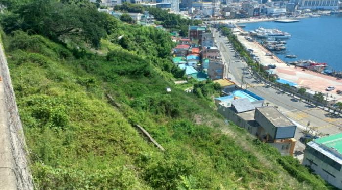 거제시 장승포동 535-19 임야 경매 물건 사진