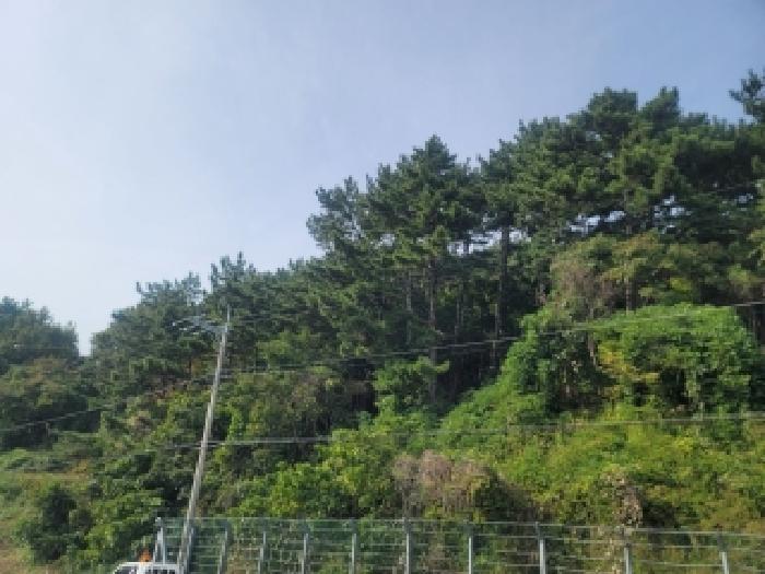 통영시 산양읍 영운리 임야 경매 물건 사진