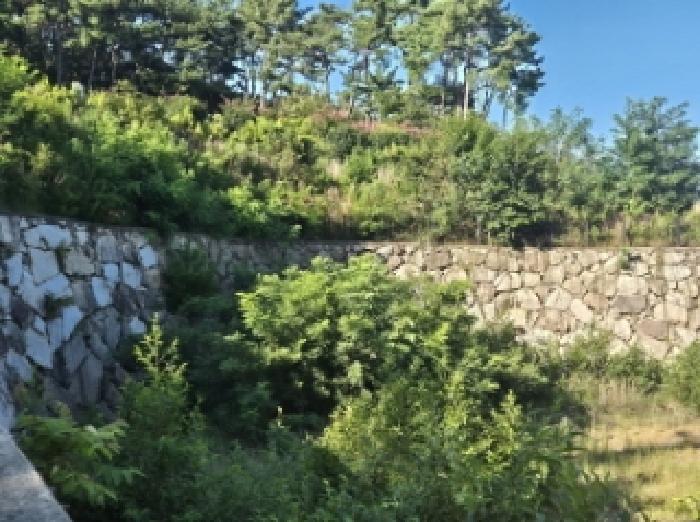 고성군 회화면 봉동리 도로 경매 물건 사진