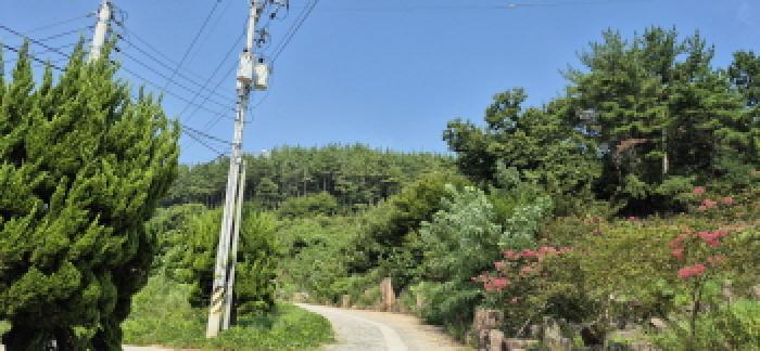 고성군 하일면 용태리 임야 경매 물건 사진