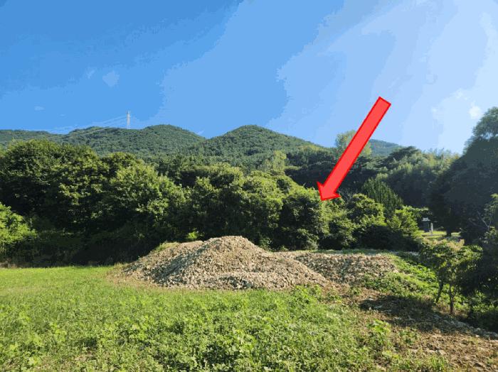 고성군 마암면 도전리 대지 경매 물건 사진