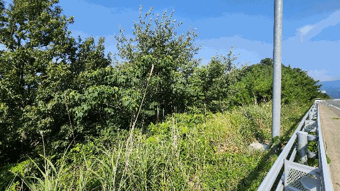 거제시 고현동 산85-3 임야 경매 물건 사진