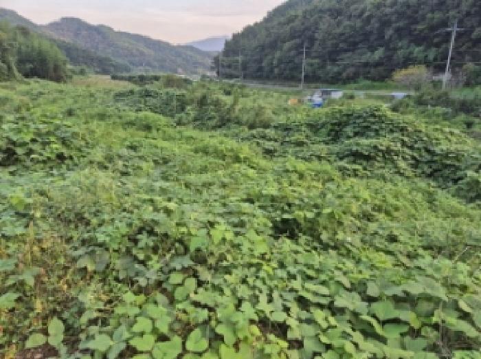 고성군 회화면 봉동리 대지,임야,전답 경매 물건 사진