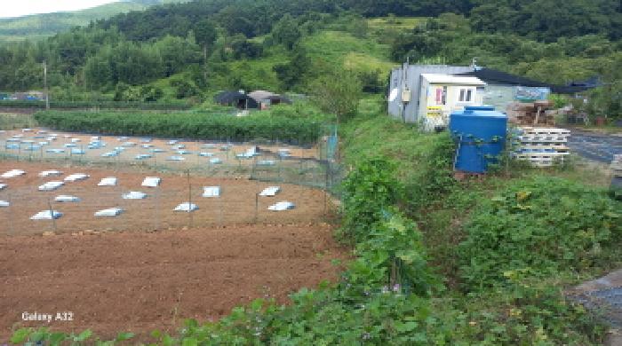 거제시 동부면 부춘리 대지 경매 물건 사진