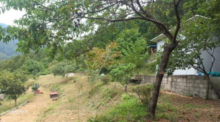 거제시 삼거동 490 전 경매 물건 사진