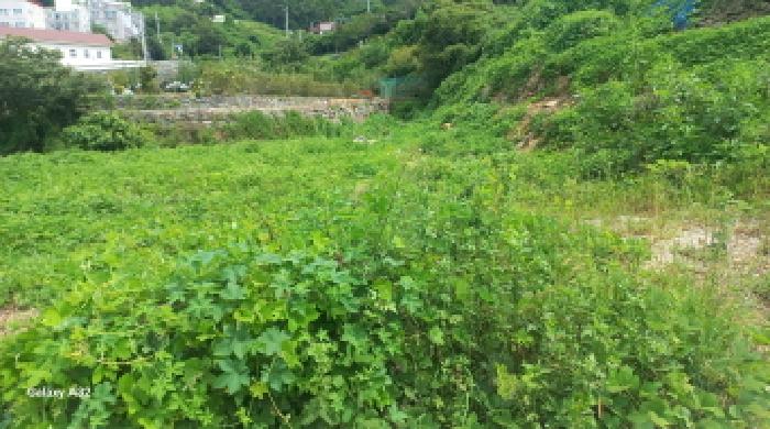 거제시 하청면 석포리 답 경매 물건 사진