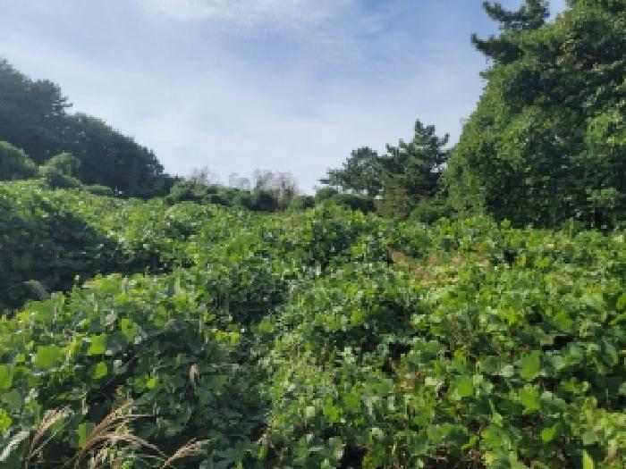 거제시 사등면 성포리 전답 경매 물건 사진