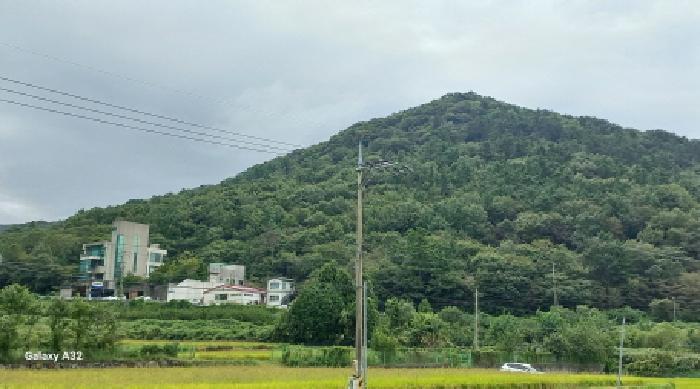 거제시 수월동 산87 임야 경매 물건 사진