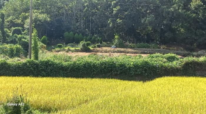 거제시 연초면 오비리 전 경매 물건 사진