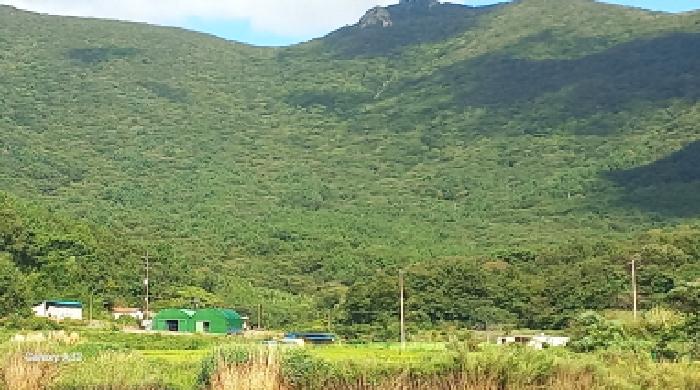 거제시 남부면 탑포리 임야 경매 물건 사진