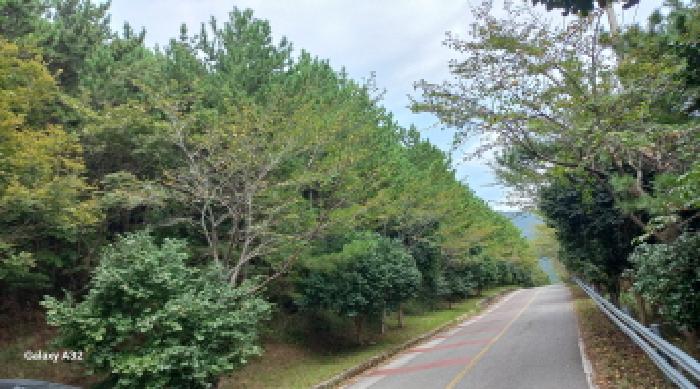 거제시 동부면 율포리 임야 경매 물건 사진