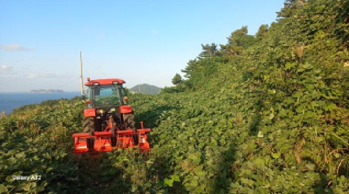 통영시 욕지면 동항리 전 경매 물건 사진