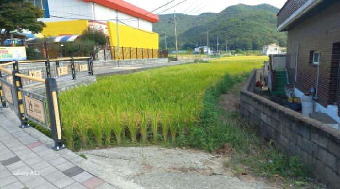 거제시 연초면 오비리 답 경매 물건 사진