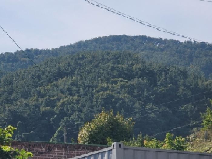 거제시 사등면 사등리 임야 경매 물건 사진