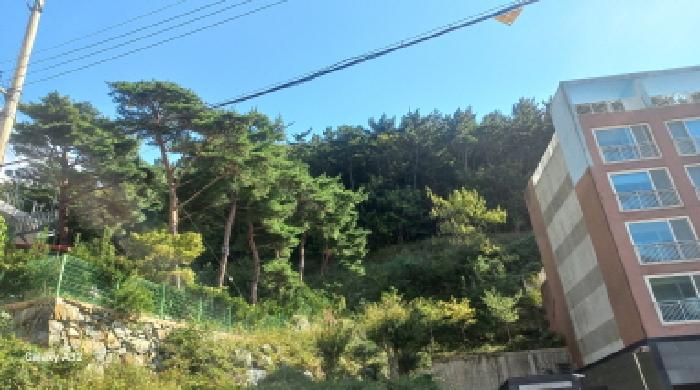 거제시 일운면 옥림리 임야 경매 물건 사진