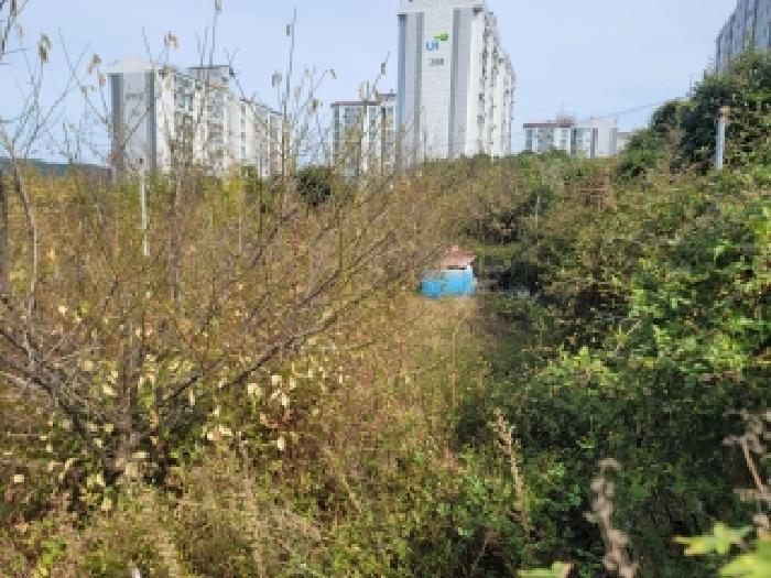 통영시 미수동 700 전 경매 물건 사진