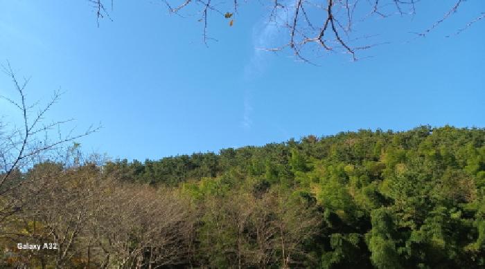 거제시 장목면 율천리 임야 경매 물건 사진