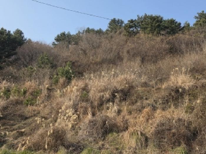 거제시 사등면 창호리 단독주택 경매 물건 사진