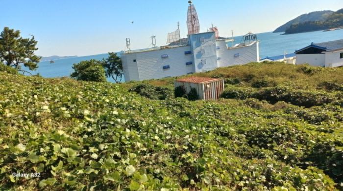 거제시 장목면 관포리 전 경매 물건 사진