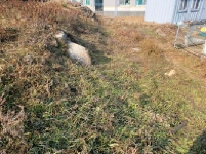 거제시 사등면 사곡리 대지,임야,전답 경매 물건 사진