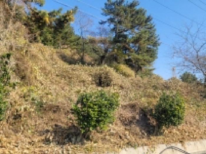 통영시 사량면 금평리 전 경매 물건 사진